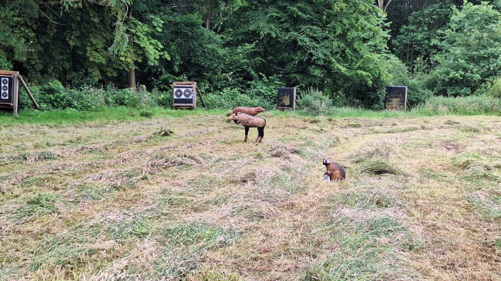 Wolfsschlucht-Turnier bei den Slight Turtles in Boosted