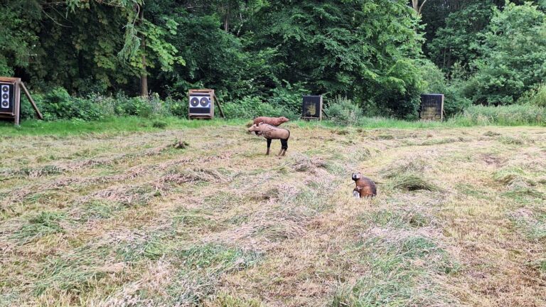 Wolfsschlucht-Turnier bei den Slight Turtles in Boosted
